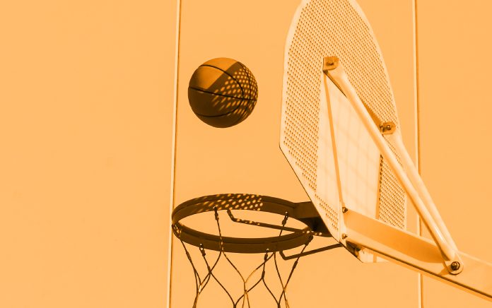 ART.1 LUCARINI EIPASS - aziende e competenze digitali palla da basket